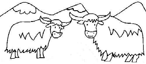 yack.jpg (21747 octets)